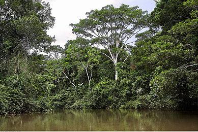 《准备突击》无法生成Steam Key 被迫提前进入抢先体验